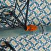 DSCN2525-Copier-