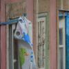 DSCN2979-Copier-