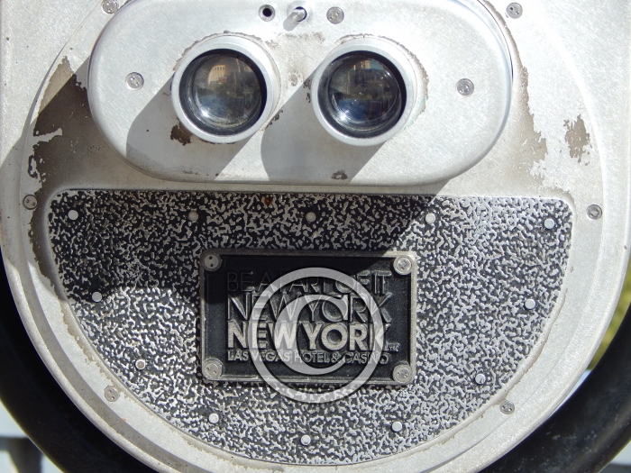 DSCN6005