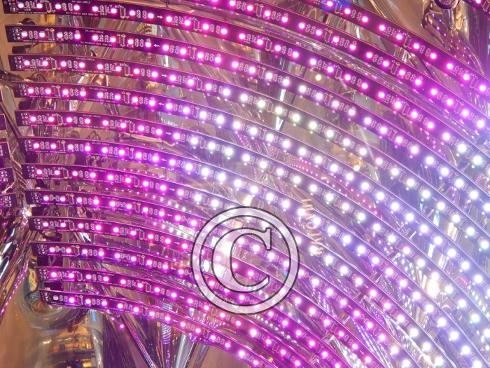 DSCN6166 light