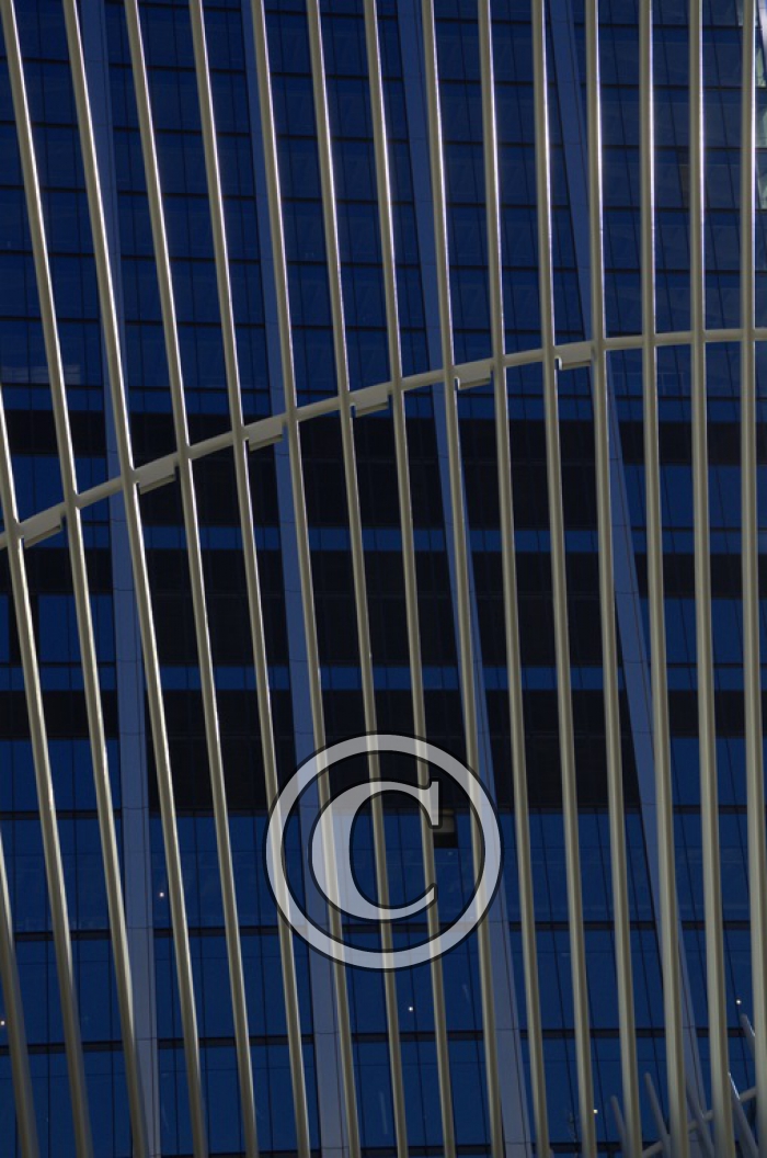DSC_9499 light