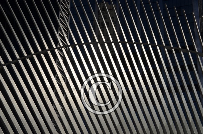 DSC_9502 light