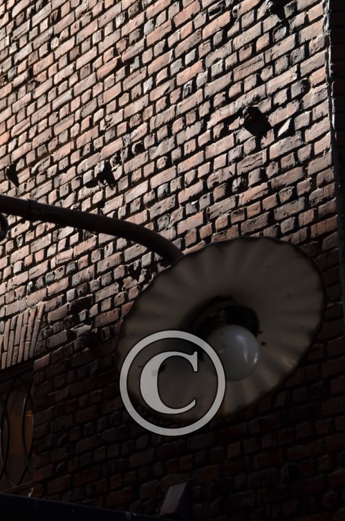 DSC_9967 light