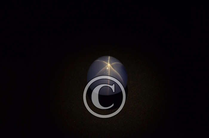 _DSC1947 (Copier)