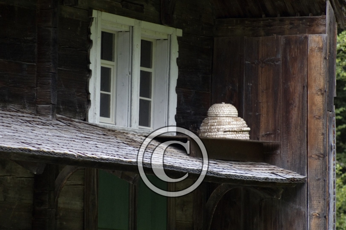 DSC_0327-Copier-