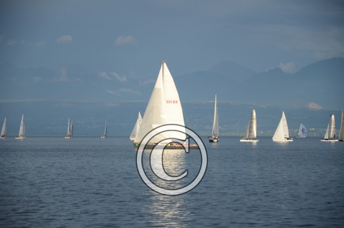 DSC_1949-Copier-