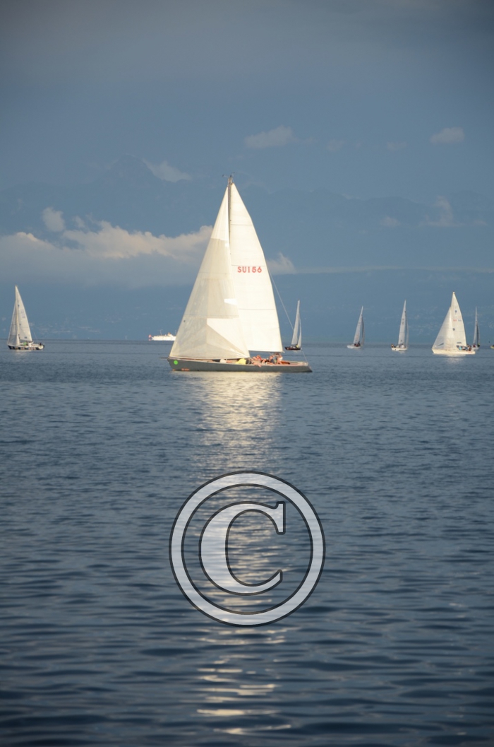 DSC_1951-Copier-