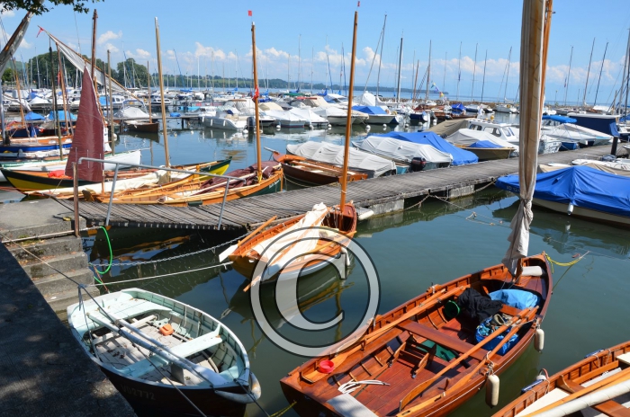 DSC_1980-Copier-
