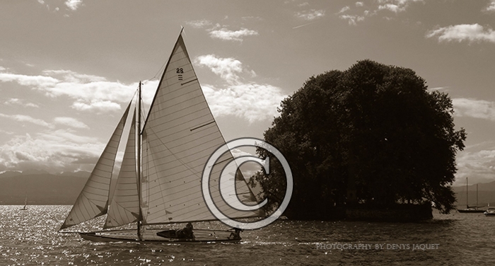 JaugeRolle2014-Copier-