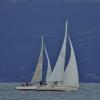 _DSC2350-Copier-