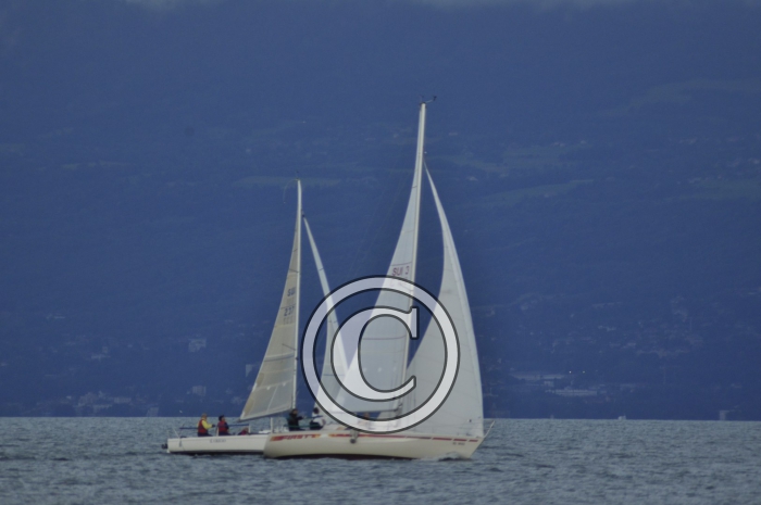 _DSC2350-Copier-