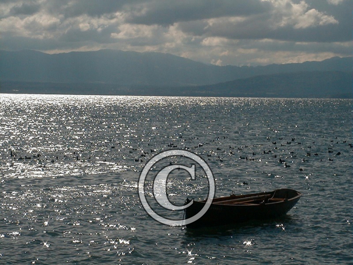barque-Copier-2-