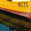 barqueyellow