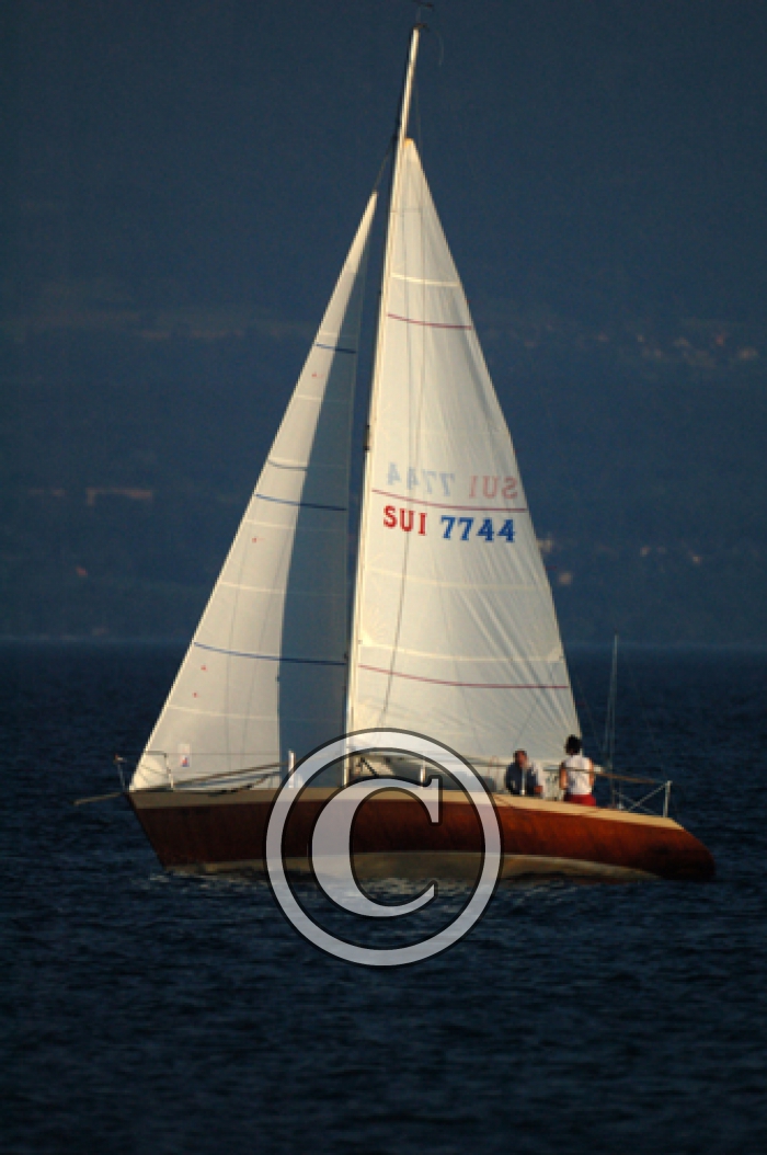 dsc_0009m
