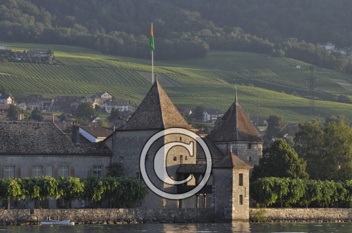 _DSC0071-Copier-