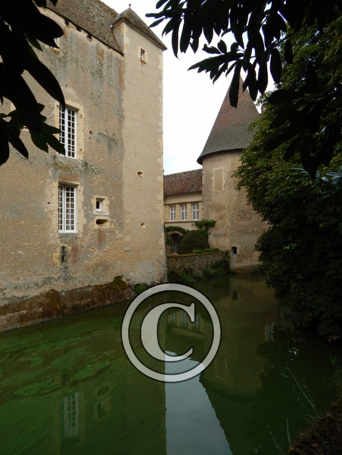 DSCN0989-Copier-