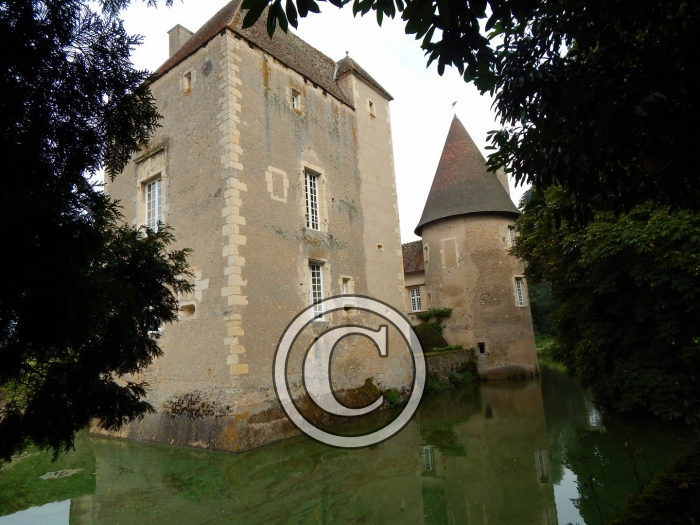 DSCN0990-Copier-
