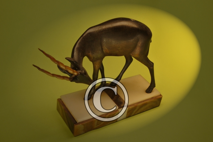 Bronze gazelle sur socle cornes en os (35 cm x 28 cm x 12 cm)