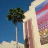 P1030319-Copier-