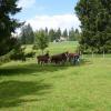 P1060433-Copier-