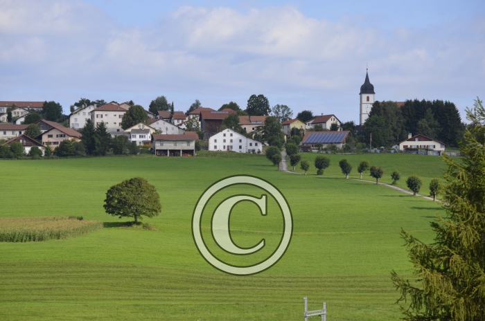 _DSC0875-Copier-