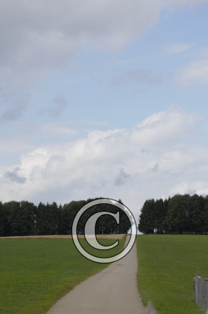 _DSC0880-Copier-