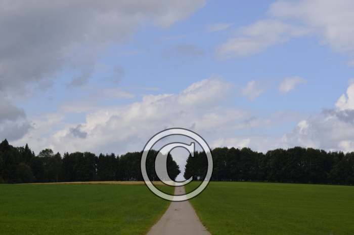 _DSC0881-Copier-
