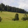 _DSC0885-Copier-