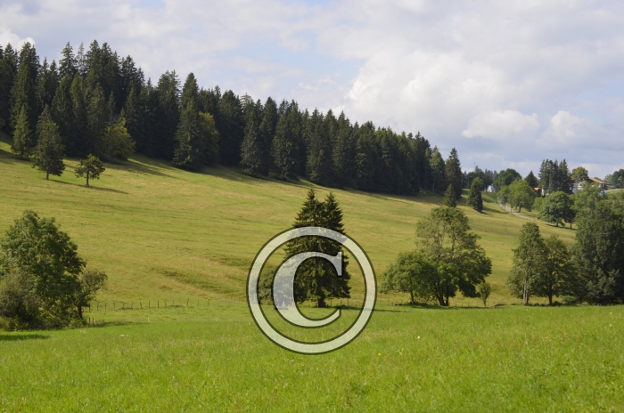 _DSC0885-Copier-