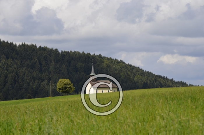 _DSC0886-Copier-