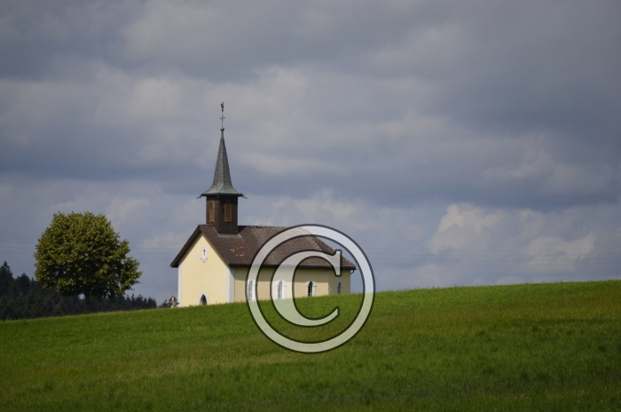 _DSC0888-Copier-