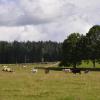 _DSC0890-Copier-