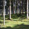 _DSC0892-Copier-