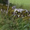 _DSC0897-Copier-