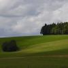 _DSC0901-Copier-