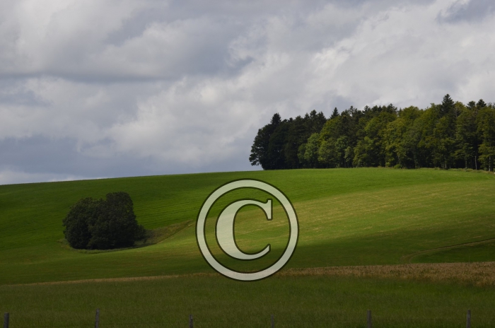 _DSC0901-Copier-