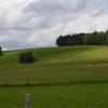 _DSC0902-Copier-
