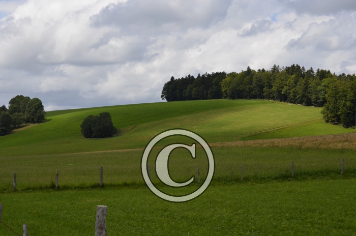 _DSC0902-Copier-
