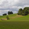 _DSC0903-Copier-