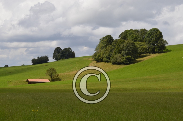 _DSC0903-Copier-