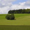 _DSC0904-Copier-