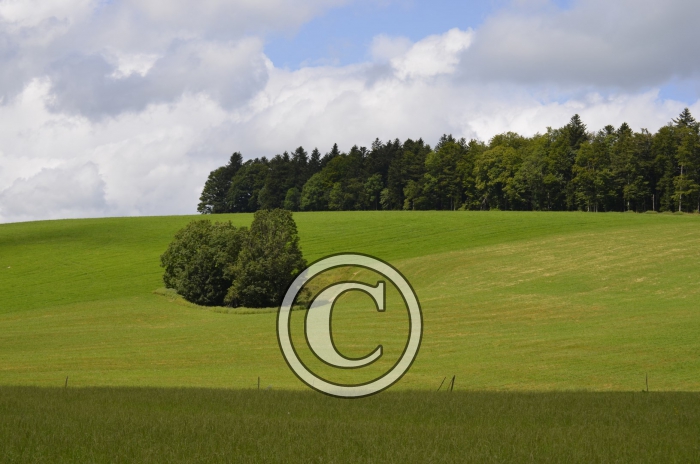 _DSC0904-Copier-