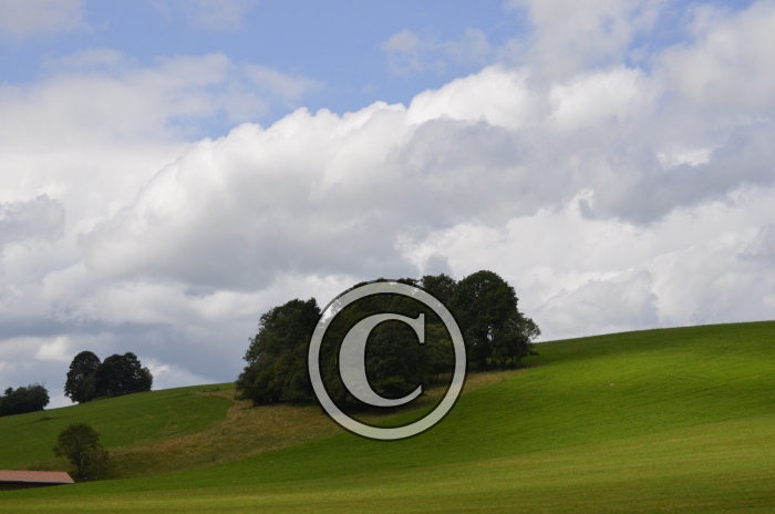 _DSC0905-Copier-