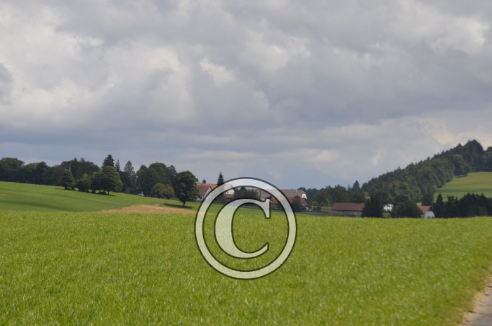 _DSC0908-Copier-