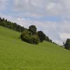 _DSC0910-Copier-