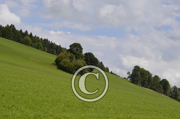 _DSC0910-Copier-