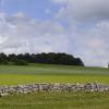 _DSC0911-Copier-