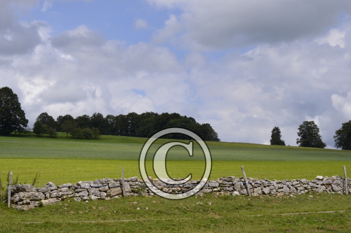 _DSC0911-Copier-