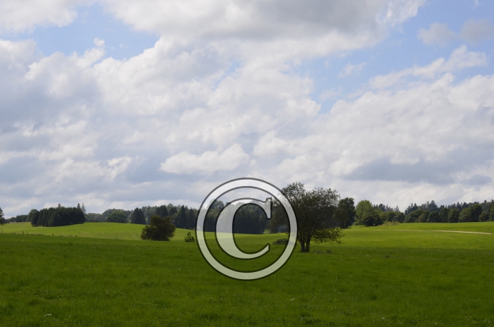 _DSC0915-Copier-