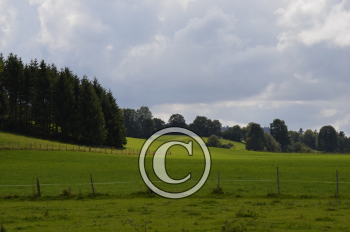 _DSC0916-Copier-